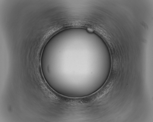 X0000111350673200907100935