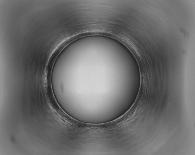 X0000111350676200907100935