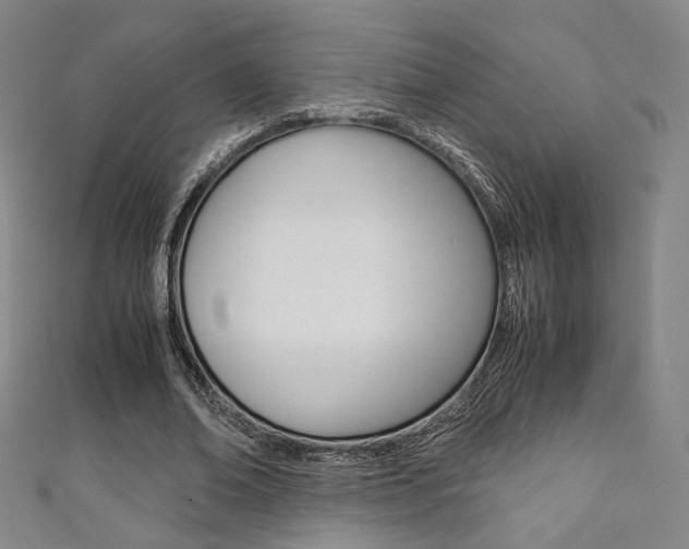 X0000111350678200907100935