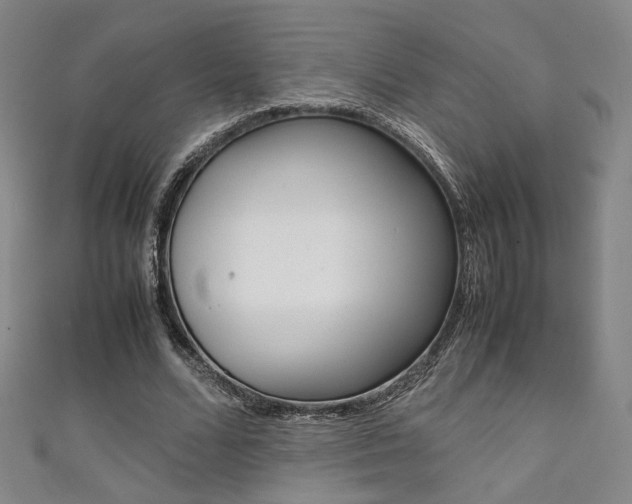X0000111350680200907100935
