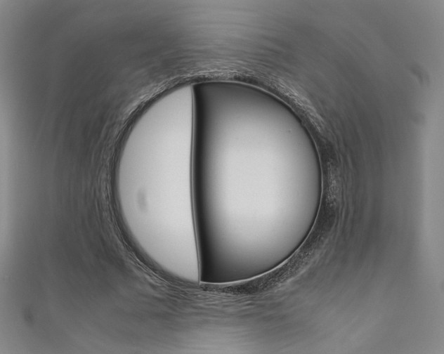 X0000111350681200907100935