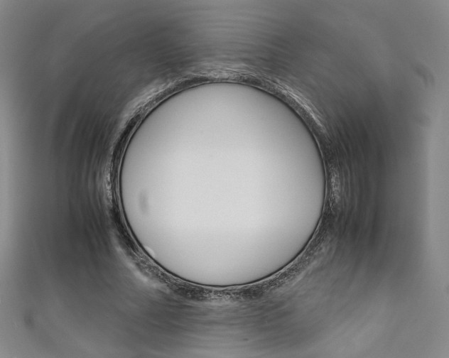 X0000111350682200907100935