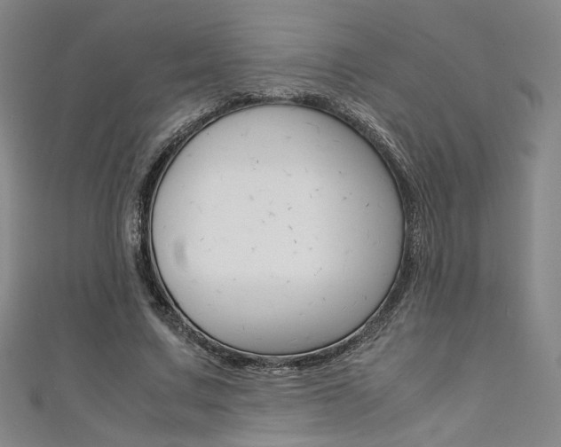 X0000111350683200907100935