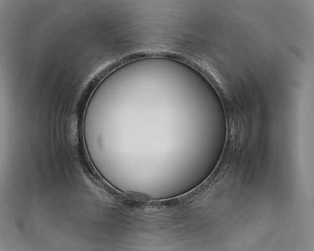 X0000111350684200907100935