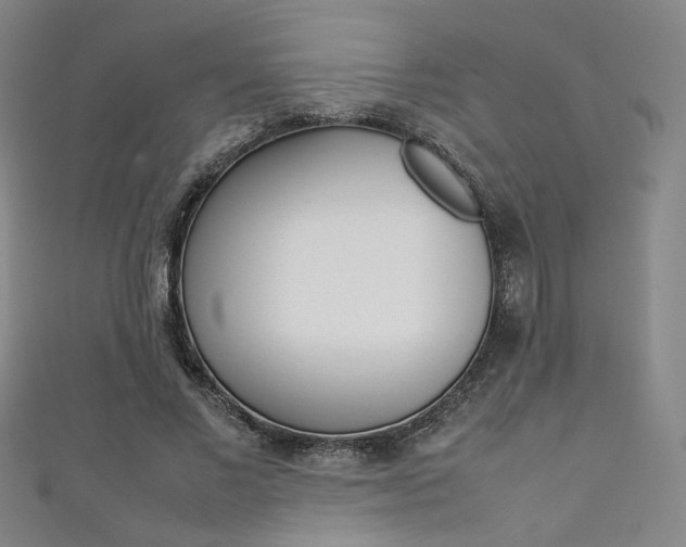 X0000111350685200907100935
