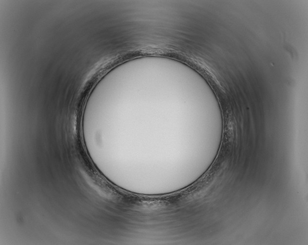 X0000111350686200907100935