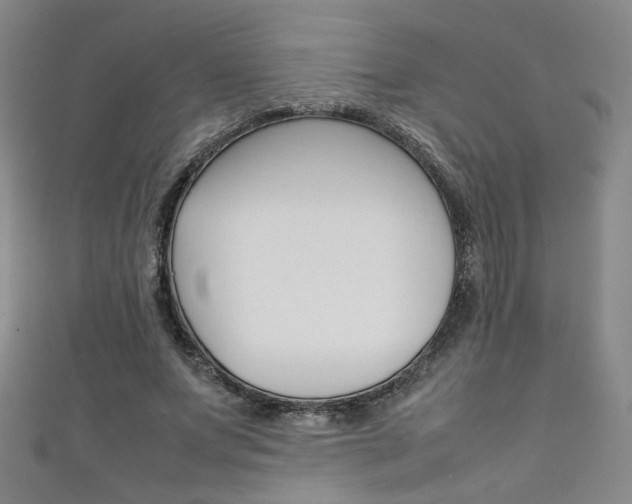 X0000111350687200907100935