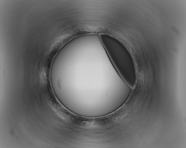 X0000111350688200907100935