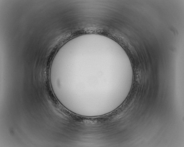 X0000111350690200907100935