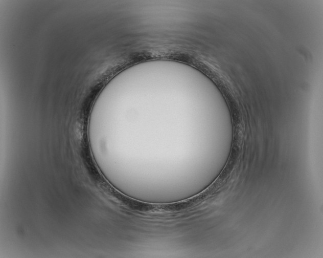 X0000111350691200907100935