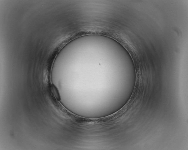 X0000111350692200907100935