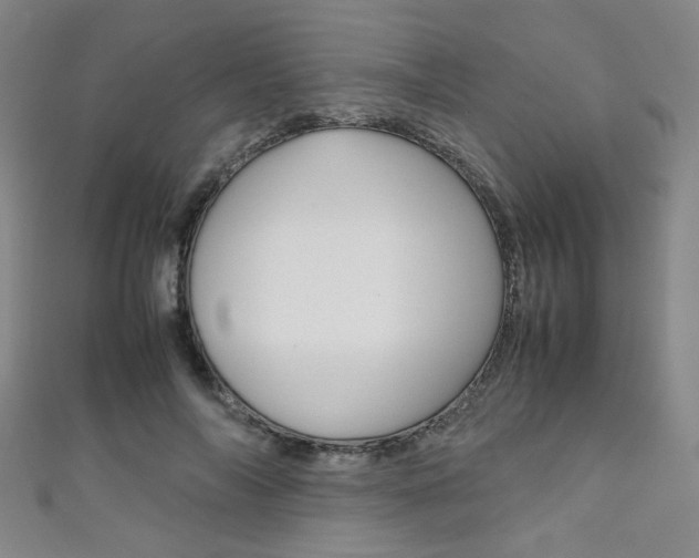 X0000111350694200907100935