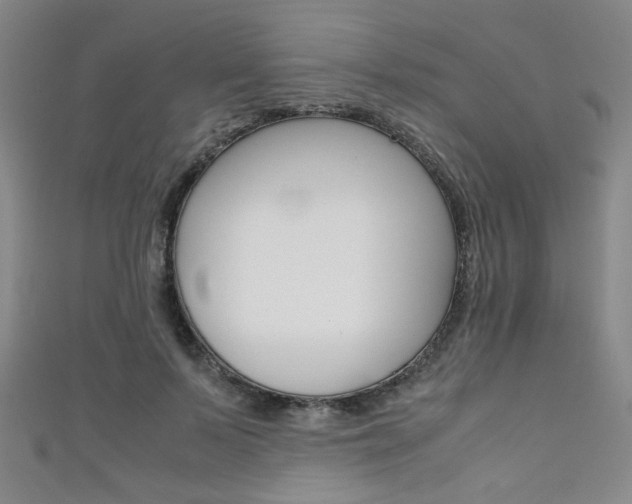 X0000111350695200907100935