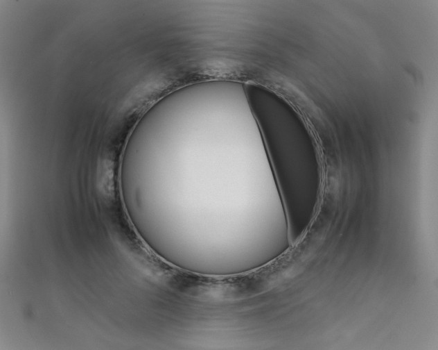 X0000111350696200907100935