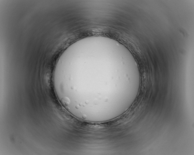 X0000111350698200907100935