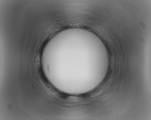 X0000111350699200907100935