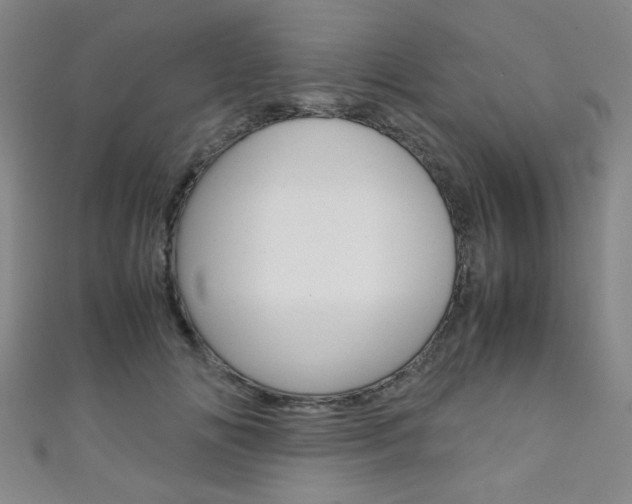X0000111350702200907100935