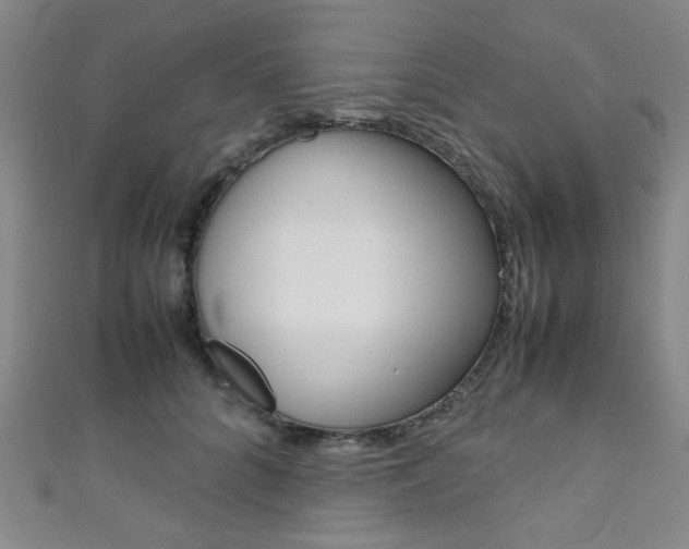 X0000111350704200907100935