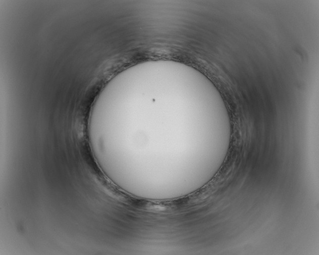X0000111350706200907100935