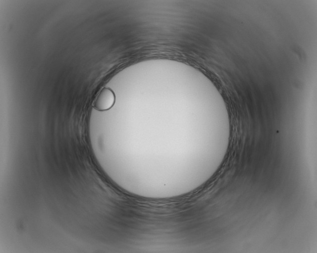 X0000111350708200907100935