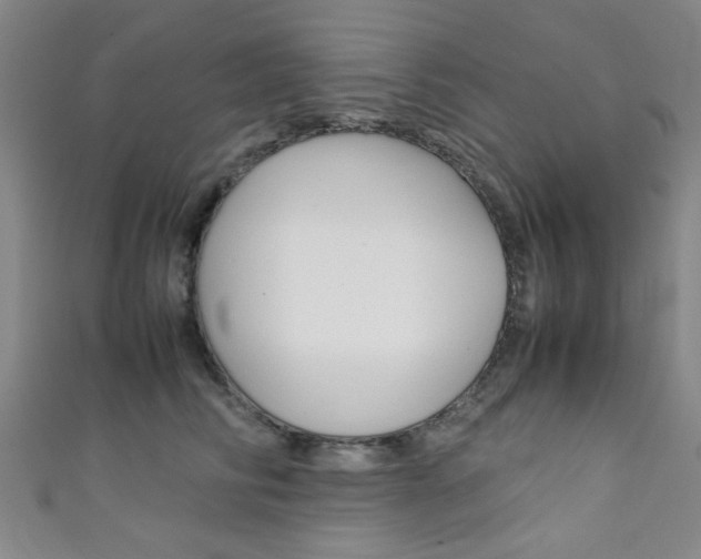 X0000111350710200907100935