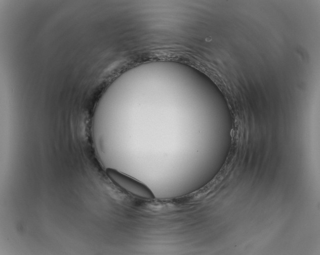 X0000111350712200907100935