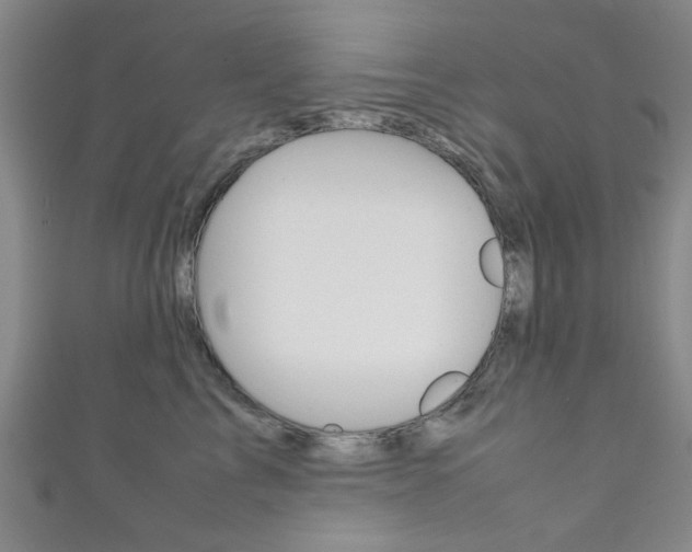 X0000111350713200907100935