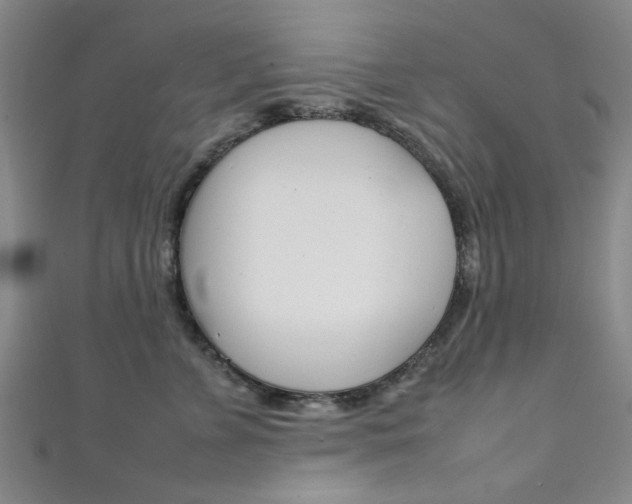 X0000111350715200907100935