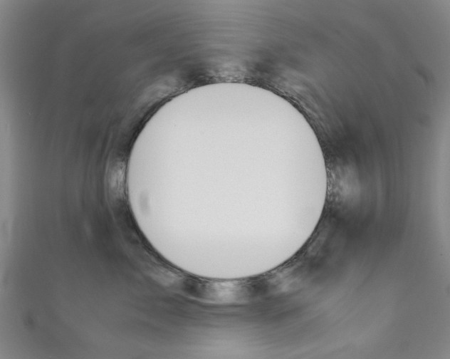 X0000111350717200907100935