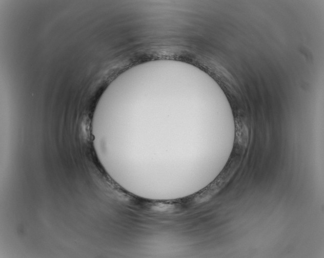 X0000111350718200907100935