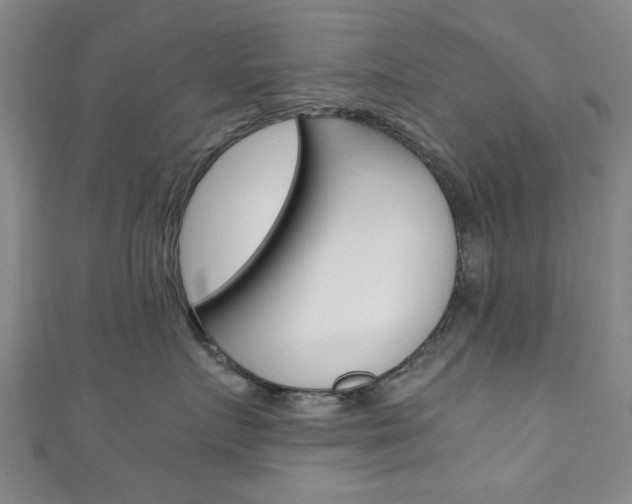 X0000111350719200907100935