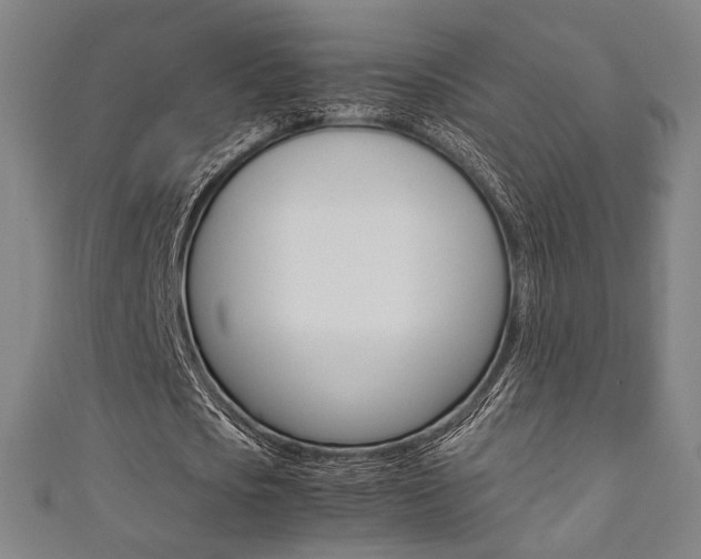 X0000111350721200907100934