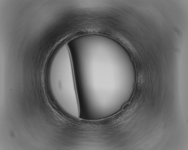X0000111350722200907100934