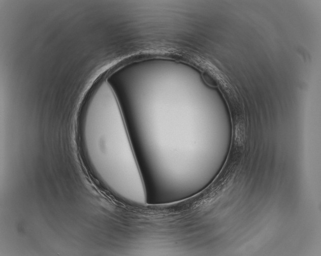 X0000111350724200907100934