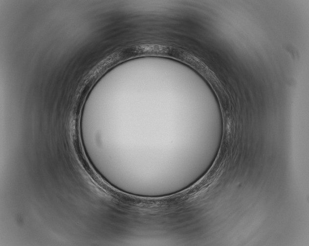 X0000111350725200907100934