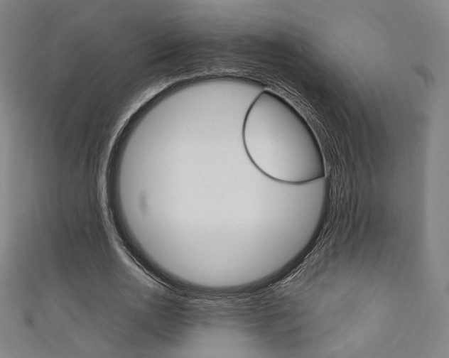 X0000111350726200907100934
