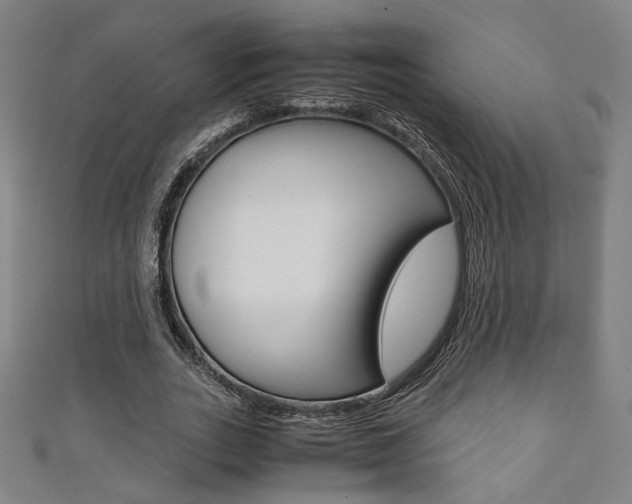 X0000111350727200907100934