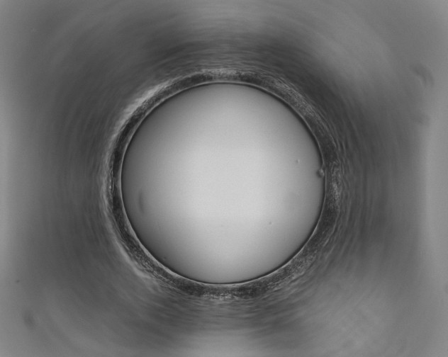 X0000111350728200907100934