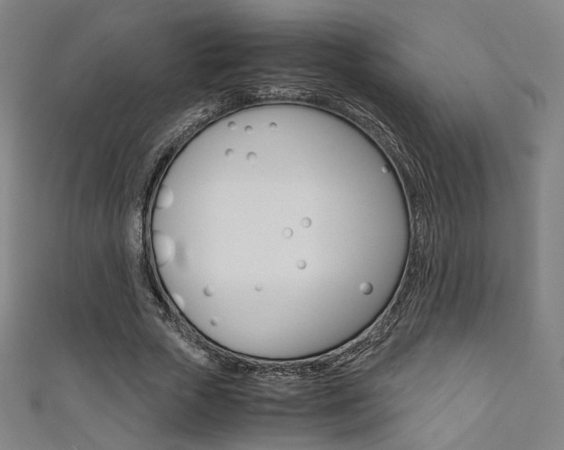 X0000111350729200907100934