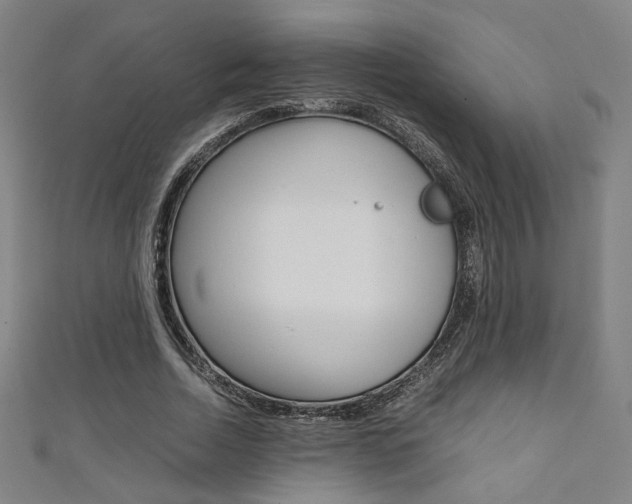 X0000111350730200907100934