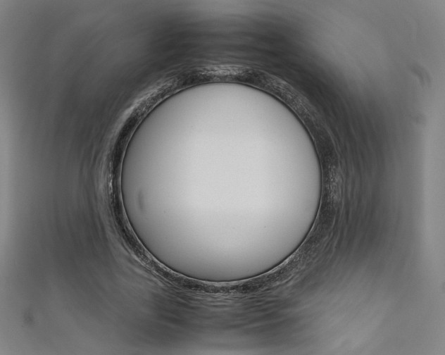 X0000111350731200907100934