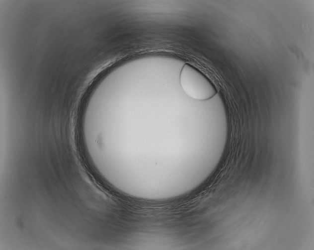 X0000111350732200907100934