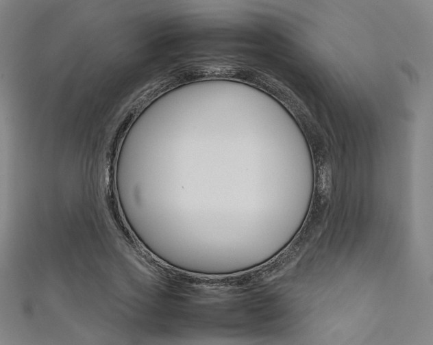 X0000111350733200907100934