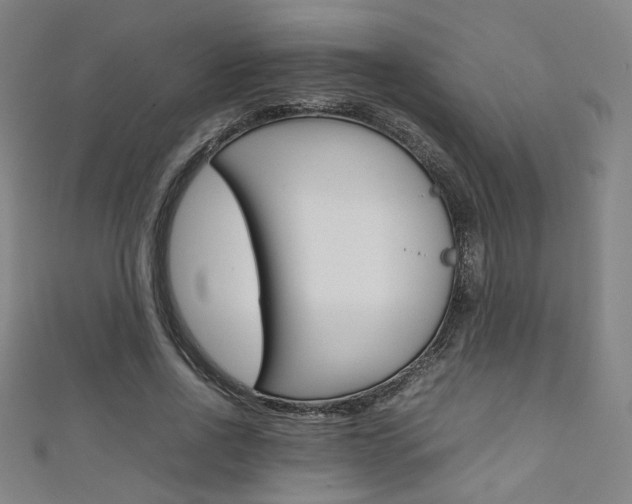 X0000111350734200907100934