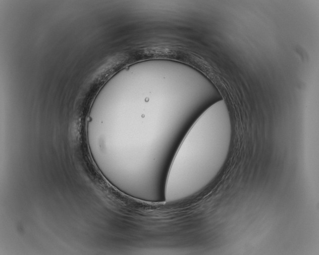 X0000111350735200907100934