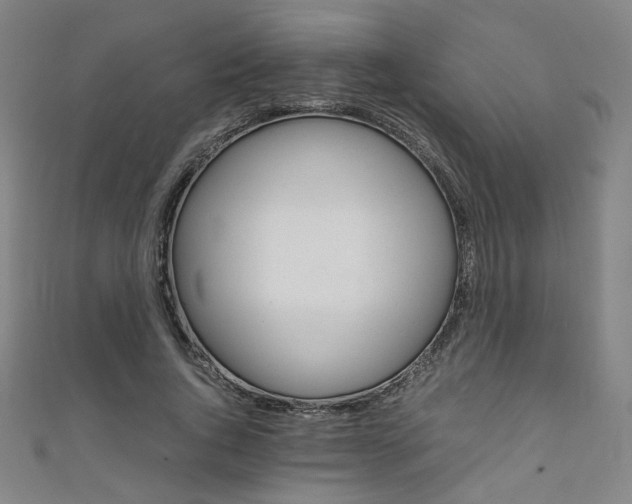 X0000111350736200907100934
