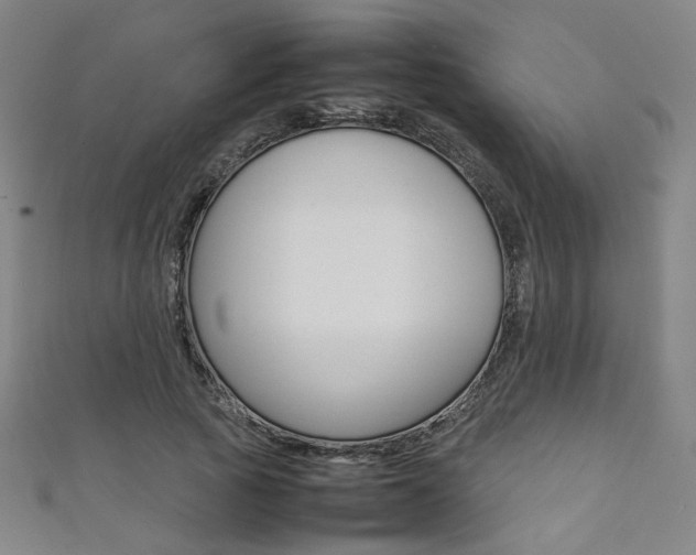 X0000111350737200907100934
