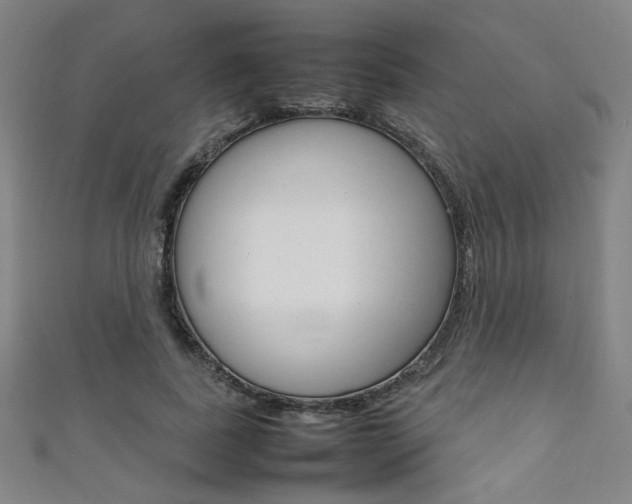 X0000111350739200907100934
