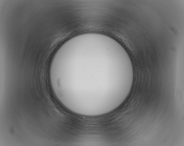 X0000111350740200907100934