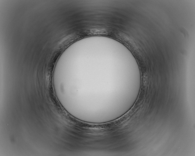 X0000111350741200907100934